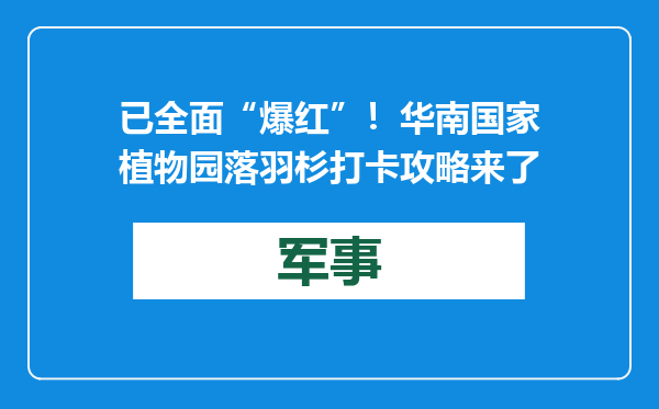 已全面“爆红”！华南国家植物园落羽杉打卡攻略来了