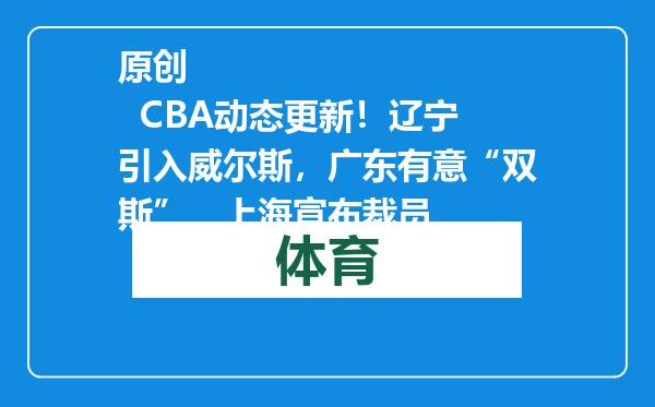 原创            CBA动态更新！辽宁引入威尔斯，广东有意“双斯”，上海宣布裁员