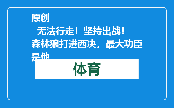 原创            无法行走！坚持出战！森林狼打进西决，最大功臣是他