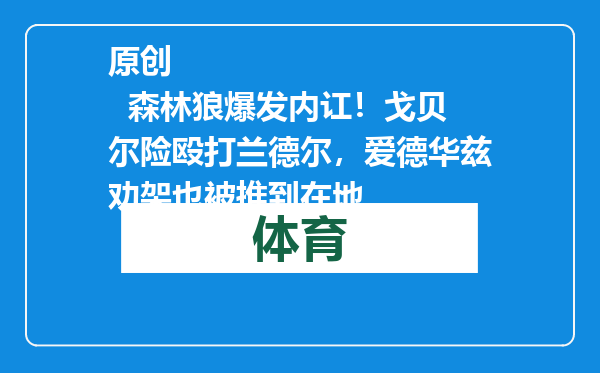 原创            森林狼爆发内讧！戈贝尔险殴打兰德尔，爱德华兹劝架也被推到在地