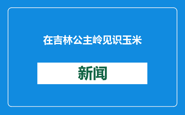 在吉林公主岭见识玉米的“无限可能”