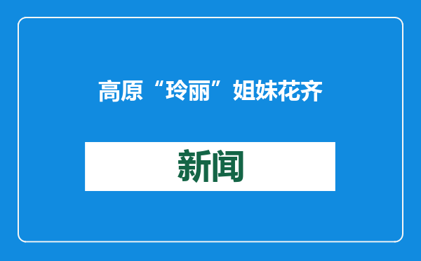 高原“玲丽”姐妹花齐心克难题