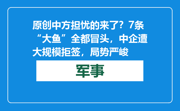 原创            中方担忧的来了？7条“大鱼”全都冒头，中企遭大规模拒签，局势严峻
