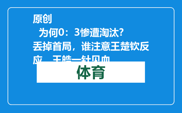 原创            为何0：3惨遭淘汰？丢掉首局，谁注意王楚钦反应，王皓一针见血