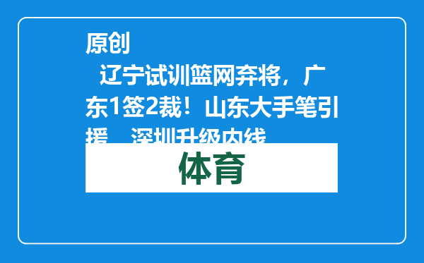 原创            辽宁试训篮网弃将，广东1签2裁！山东大手笔引援，深圳升级内线
