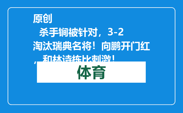 原创            杀手锏被针对，3-2淘汰瑞典名将！向鹏开门红，和林诗栋比刺激！