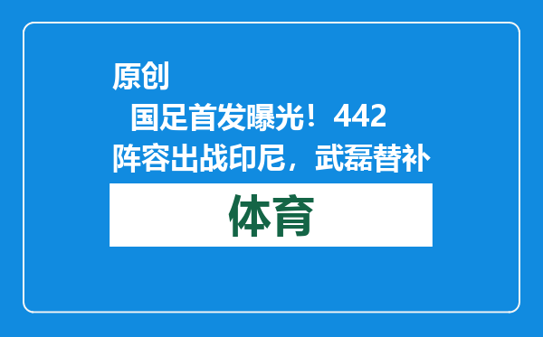原创            国足首发曝光！442阵容出战印尼，武磊替补
