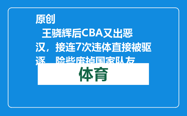 原创            王骁辉后CBA又出恶汉，接连7次违体直接被驱逐，险些废掉国家队友