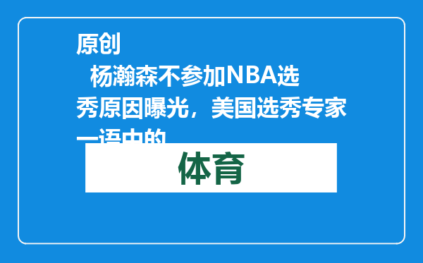 原创            杨瀚森不参加NBA选秀原因曝光，美国选秀专家一语中的
