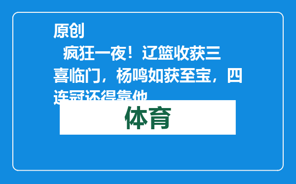 原创            疯狂一夜！辽篮收获三喜临门，杨鸣如获至宝，四连冠还得靠他