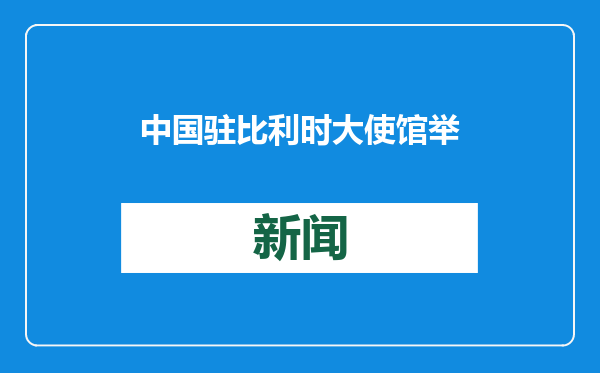 中国驻比利时大使馆举办春节招待会