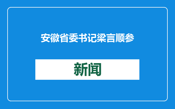 安徽省委书记梁言顺参加合肥市代表团审议，省领导单向前出席