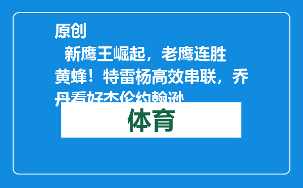 原创            新鹰王崛起，老鹰连胜黄蜂！特雷杨高效串联，乔丹看好杰伦约翰逊