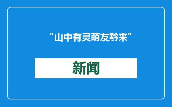 “山中有灵 萌友黔来”公益捐赠活动举行 共同守护野生动物家园