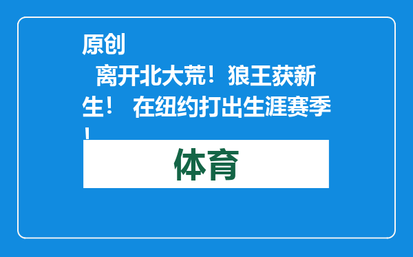 原创            离开北大荒！狼王获新生！ 在纽约打出生涯赛季！