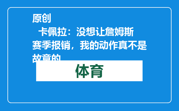 原创            卡佩拉：没想让詹姆斯赛季报销，我的动作真不是故意的