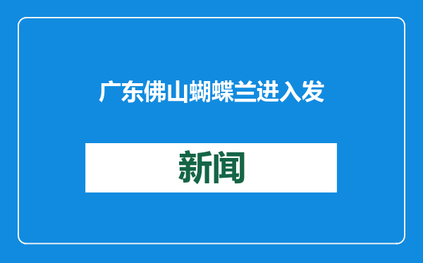 广东佛山蝴蝶兰进入发货旺季