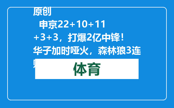 原创            申京22+10+11+3+3，打爆2亿中锋！华子加时哑火，森林狼3连败！