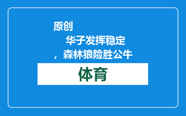 原创            华子发挥稳定，森林狼险胜公牛
