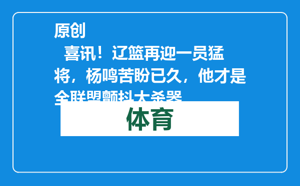 原创            喜讯！辽篮再迎一员猛将，杨鸣苦盼已久，他才是全联盟颤抖大杀器