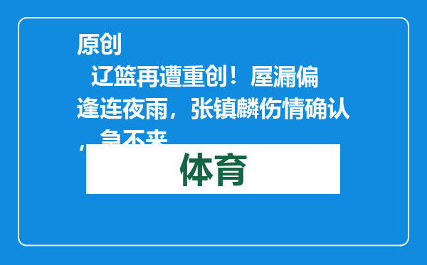 原创            辽篮再遭重创！屋漏偏逢连夜雨，张镇麟伤情确认，急不来