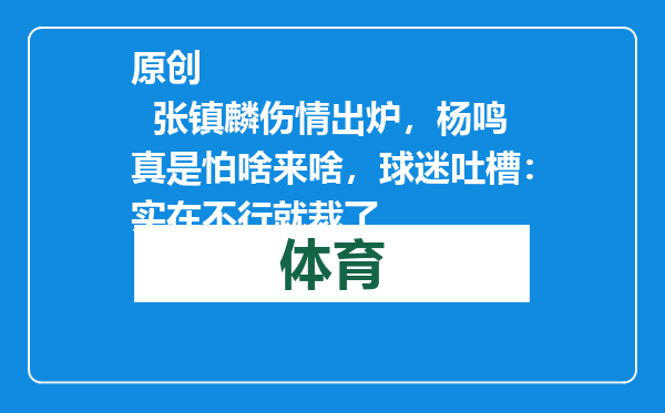 原创            张镇麟伤情出炉，杨鸣真是怕啥来啥，球迷吐槽：实在不行就裁了