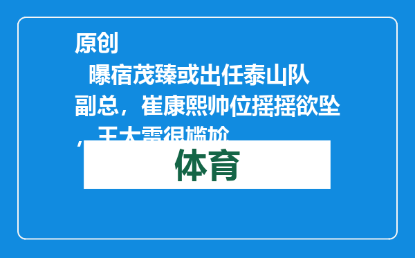 原创            曝宿茂臻或出任泰山队副总，崔康熙帅位摇摇欲坠，王大雷很尴尬