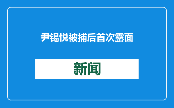 尹锡悦被捕后首次露面：没有、没有、没有