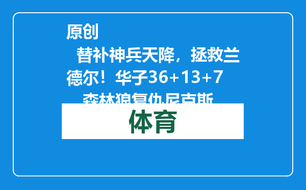 原创            替补神兵天降，拯救兰德尔！华子36+13+7，森林狼复仇尼克斯