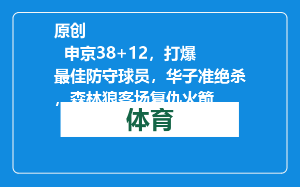 原创            申京38+12，打爆最佳防守球员，华子准绝杀，森林狼客场复仇火箭