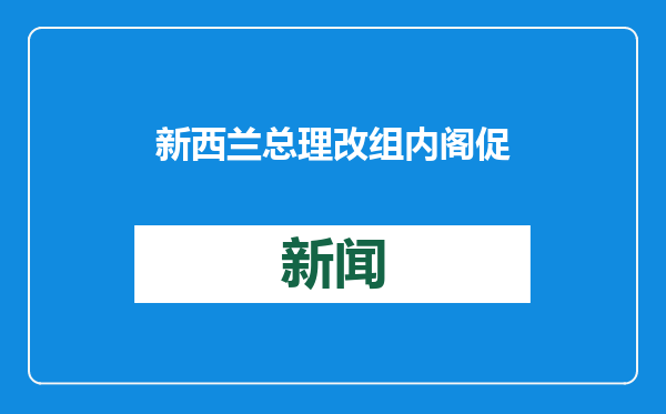 新西兰总理改组内阁 促经济重卫生