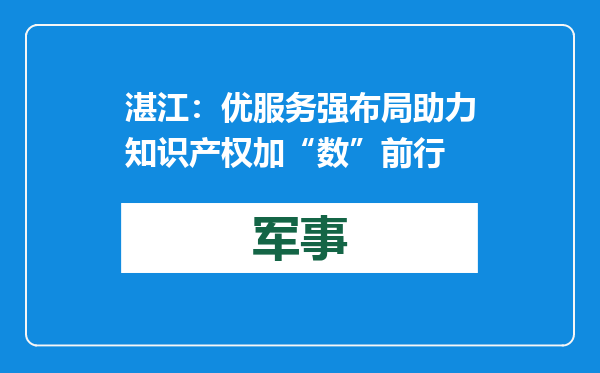 湛江：优服务强布局 助力知识产权加“数”前行