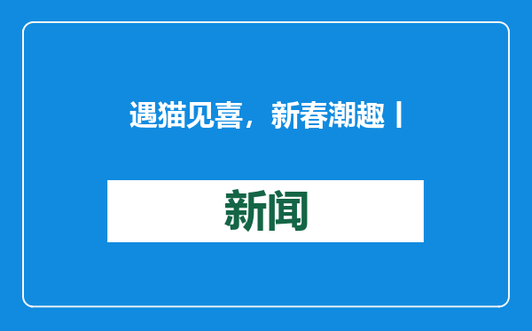遇猫见喜，新春潮趣丨瓦猫文创博物馆·豪奇奇不二市集开馆试营业