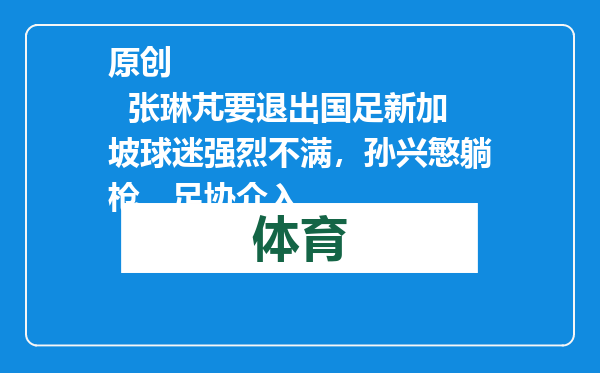 原创            张琳芃要退出国足新加坡球迷强烈不满，孙兴慜躺枪，足协介入