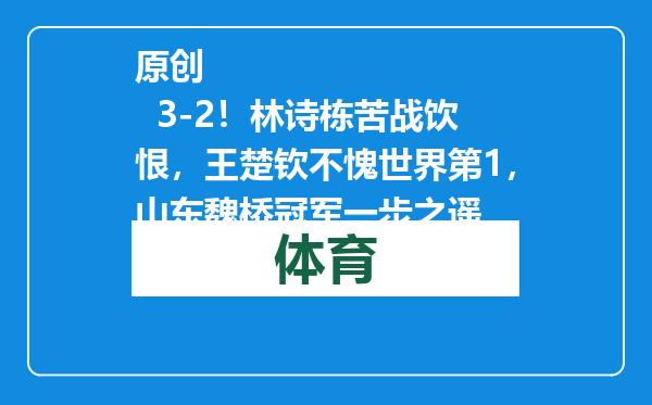 原创            3-2！林诗栋苦战饮恨，王楚钦不愧世界第1，山东魏桥冠军一步之遥