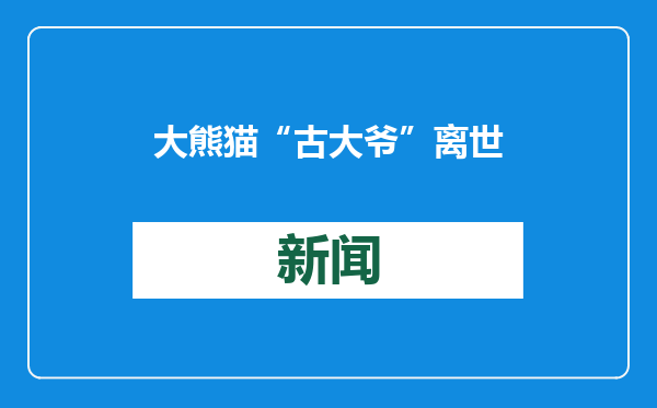 大熊猫“古大爷”离世！动物园曾在其疗养期间定期更新近况
