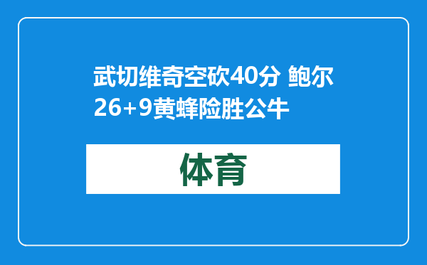 武切维奇空砍40分 鲍尔26+9黄蜂险胜公牛