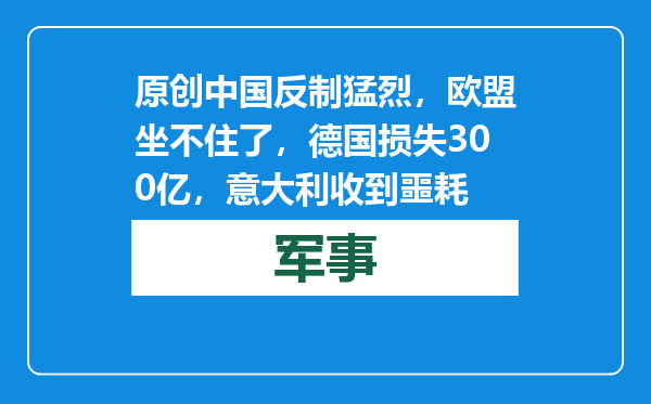 原创            中国反制猛烈，欧盟坐不住了，德国损失300亿，意大利收到噩耗