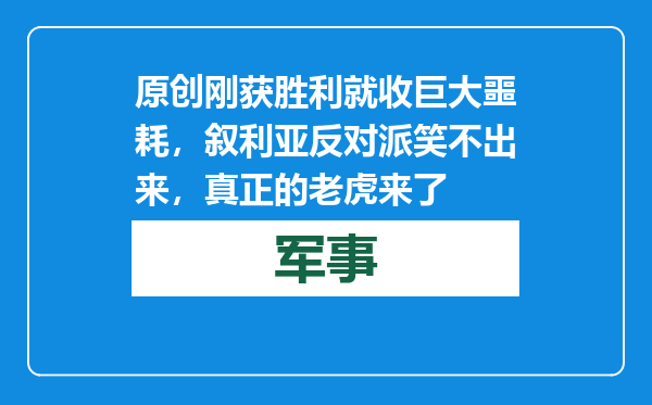 原创            刚获胜利就收巨大噩耗，叙利亚反对派笑不出来，真正的老虎来了