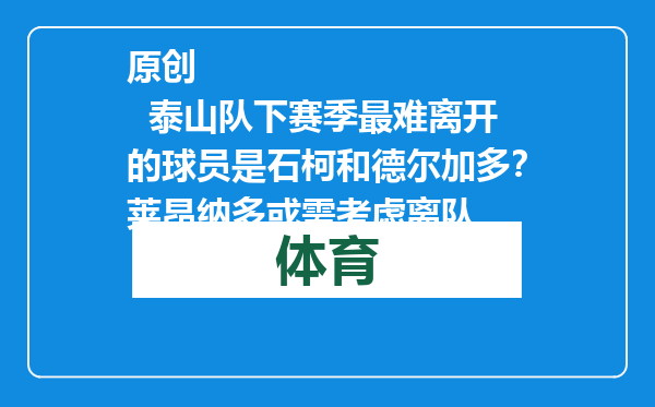 原创            泰山队下赛季最难离开的球员是石柯和德尔加多？莱昂纳多或需考虑离队