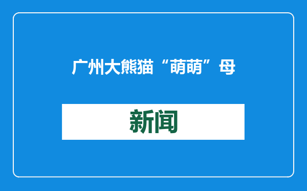 广州大熊猫“萌萌”母女乐享特制“新春大餐”