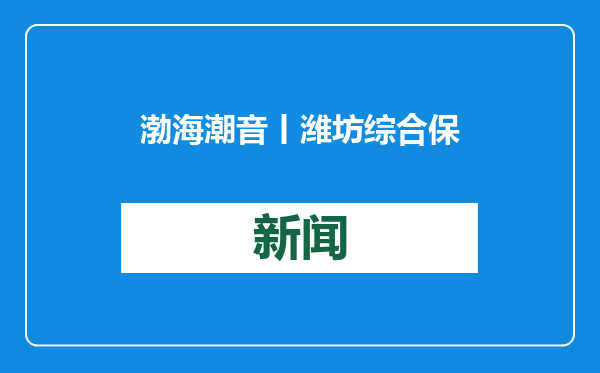 渤海潮音丨潍坊综合保税区创新举措推动潍品加速出海