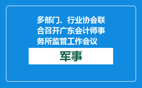 多部门、行业协会联合召开广东会计师事务所监管工作会议