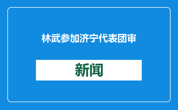 林武参加济宁代表团审议