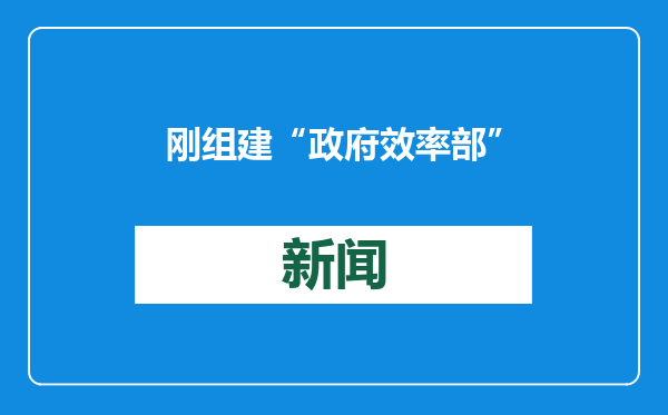 刚组建“政府效率部”，特朗普就惹了官司