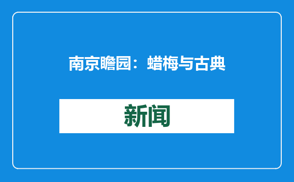 南京瞻园：蜡梅与古典园林绘就中式美学画卷
