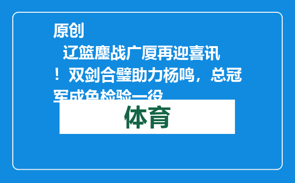 原创            辽篮鏖战广厦再迎喜讯！双剑合璧助力杨鸣，总冠军成色检验一役