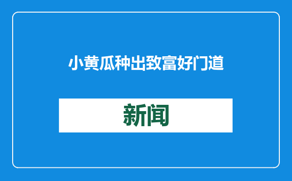 小黄瓜种出致富好门道（新春走基层）