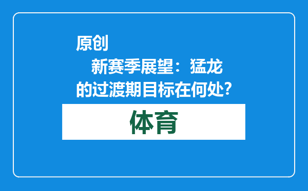 原创            新赛季展望：猛龙的过渡期目标在何处？