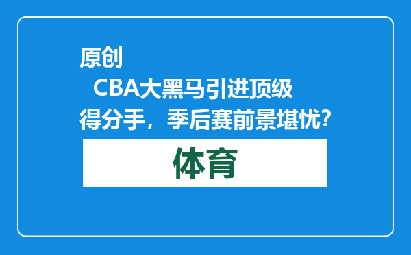 原创            CBA大黑马引进顶级得分手，季后赛前景堪忧？